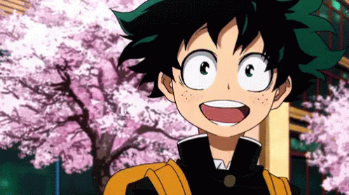 Image Midoriya